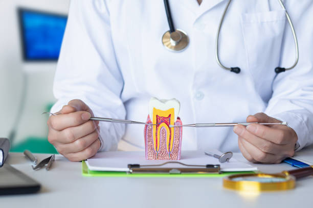 Best Emergency Dentist for Lost Fillings or Crowns in Twin Lakes, VA